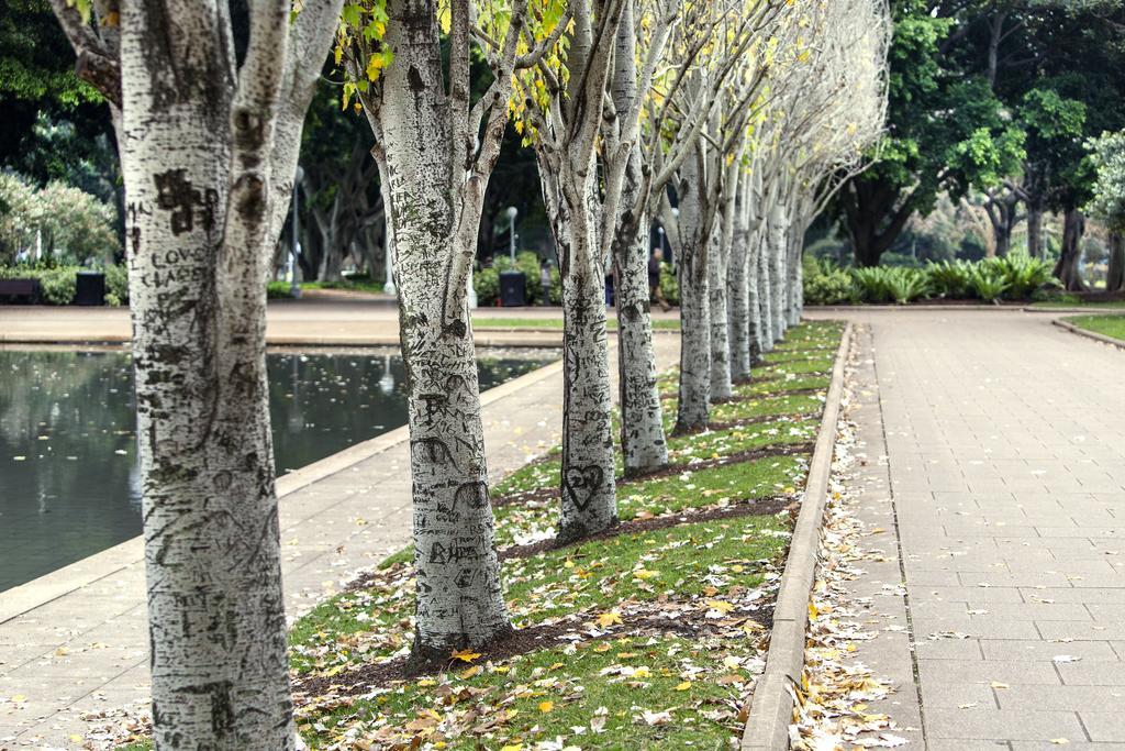 Oaks Sydney Hyde Park Suites Kültér fotó